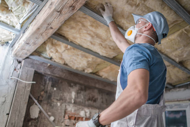 Best Spray Foam Insulation in Terrytown, LA