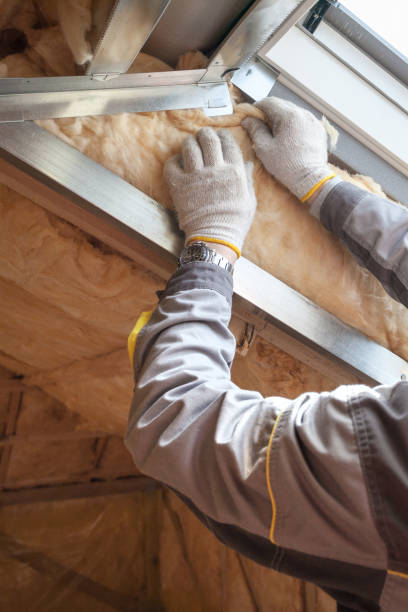 Best Blown-in Insulation in Terrytown, LA